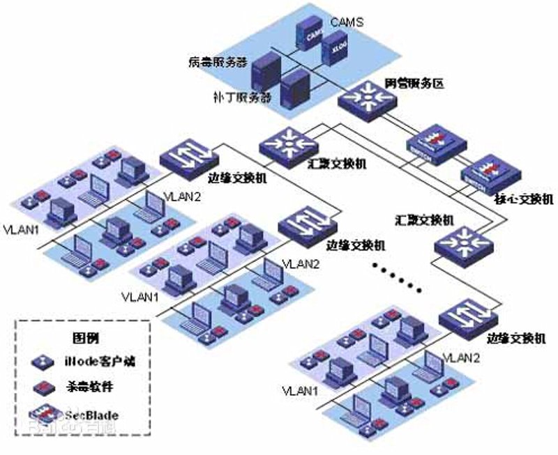 武汉科技公司的崛起：本土与国际的较量